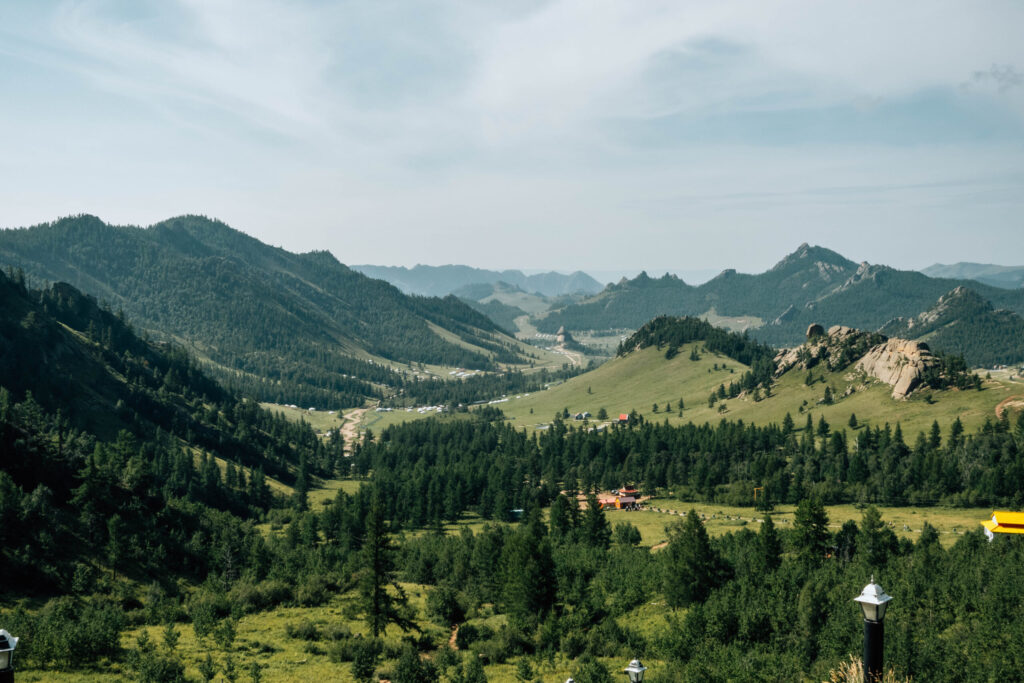 ギャラリー画像 1