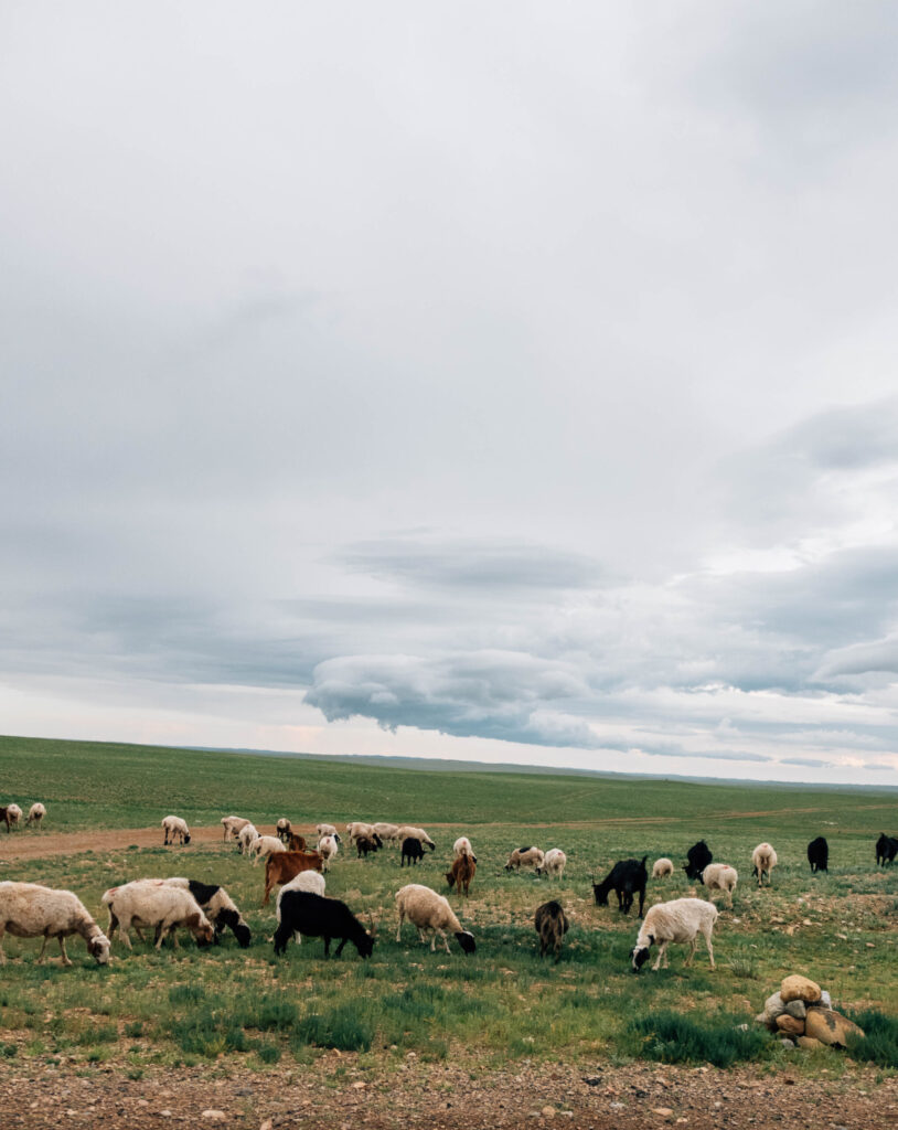 ギャラリー画像 3