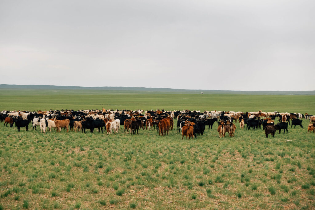 ウランバートルだ