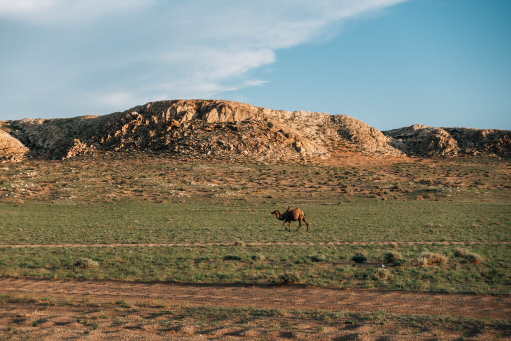 ギャラリー画像 6