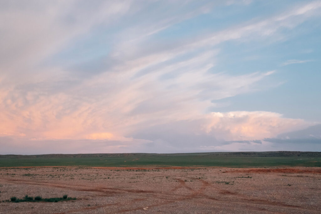 ギャラリー画像 7